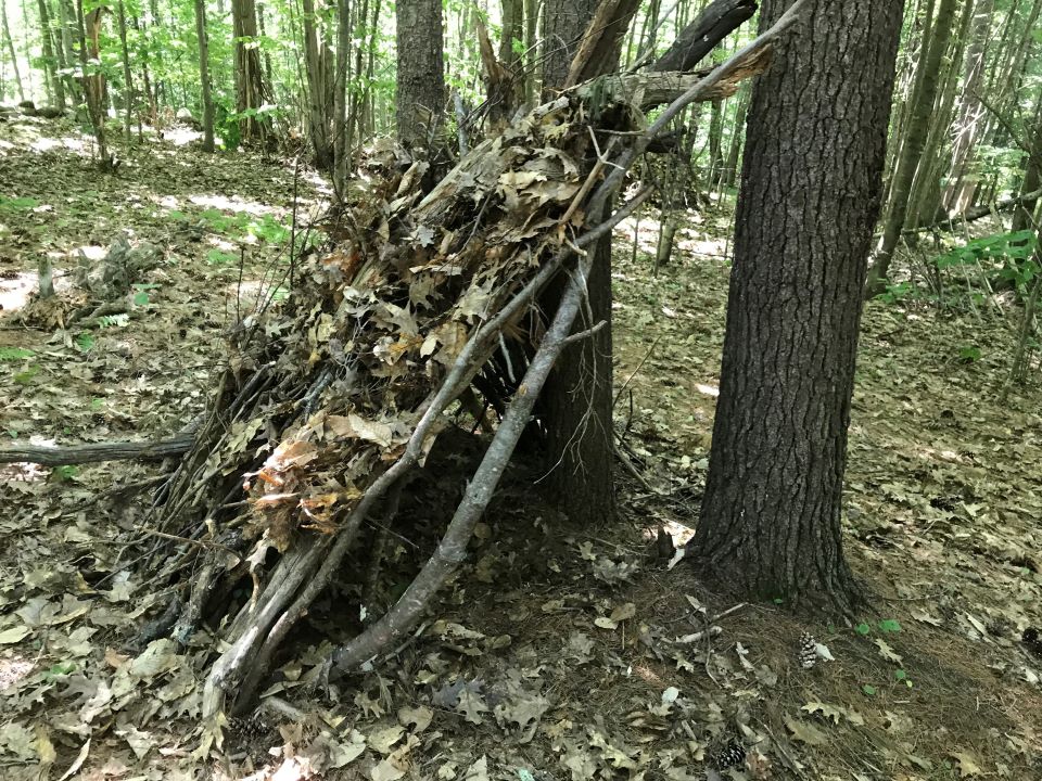 Wilderness Survival shelter from camp