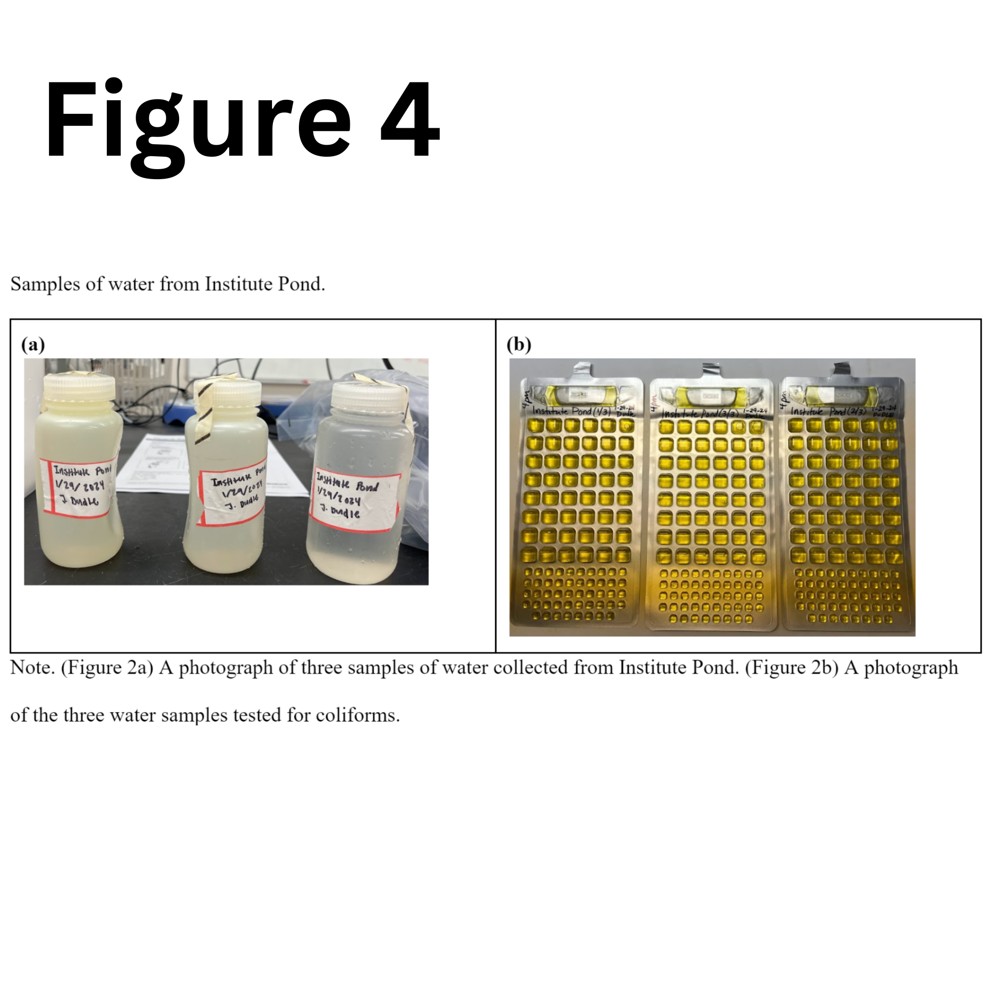 A photograph of the samples of water taken from Institute Pond.  