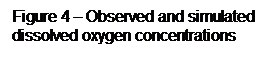 Text Box: Figure 4  Observed and simulated dissolved oxygen concentrations
