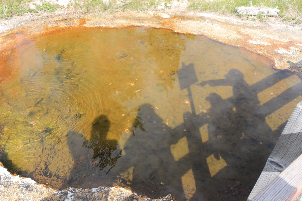 Silhouettes of the Choudhury family in a hot spring at Yellowstone.