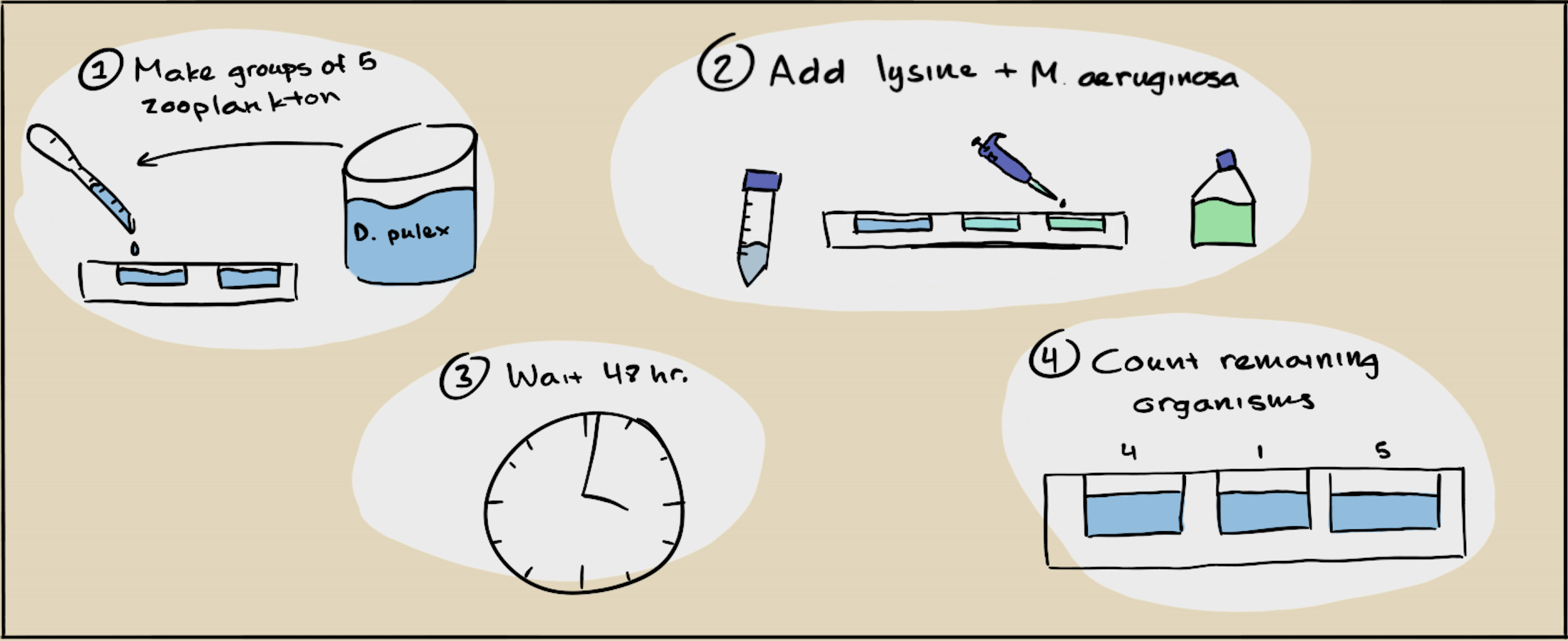 Procedure Abstract