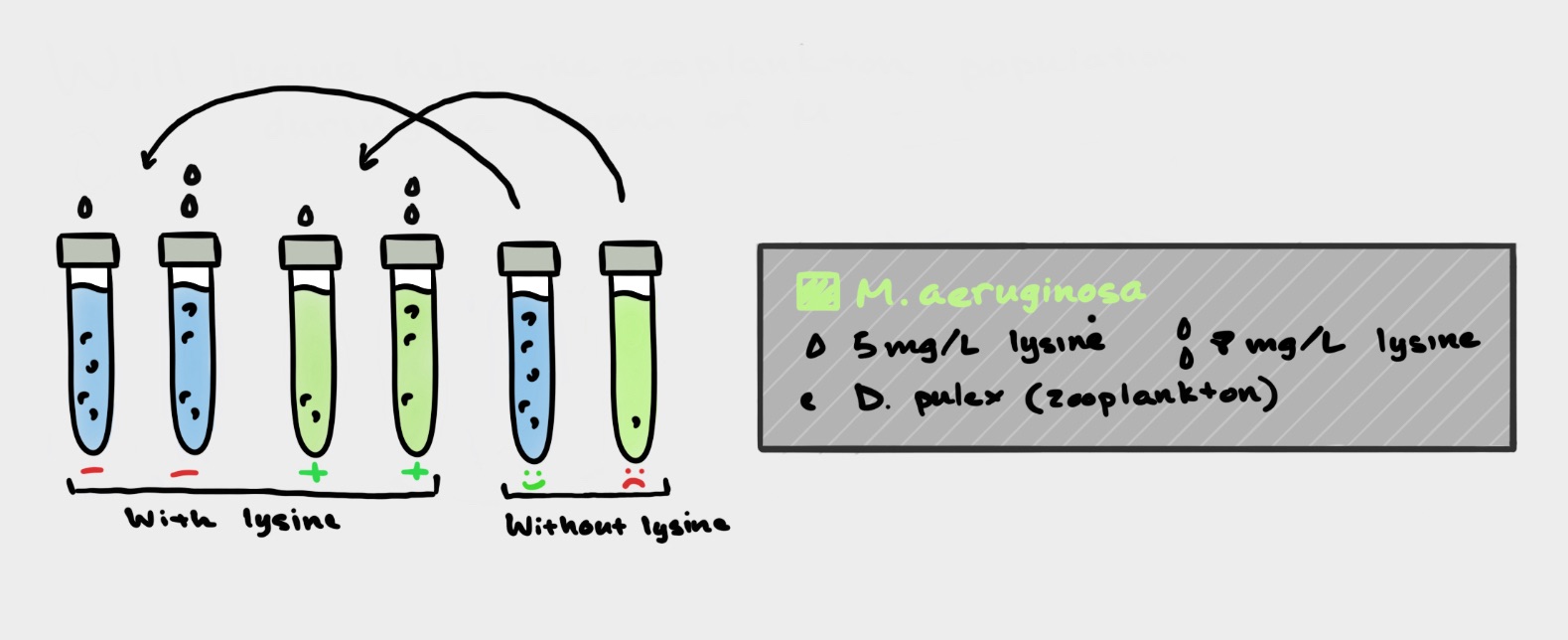 Graphical Abstract