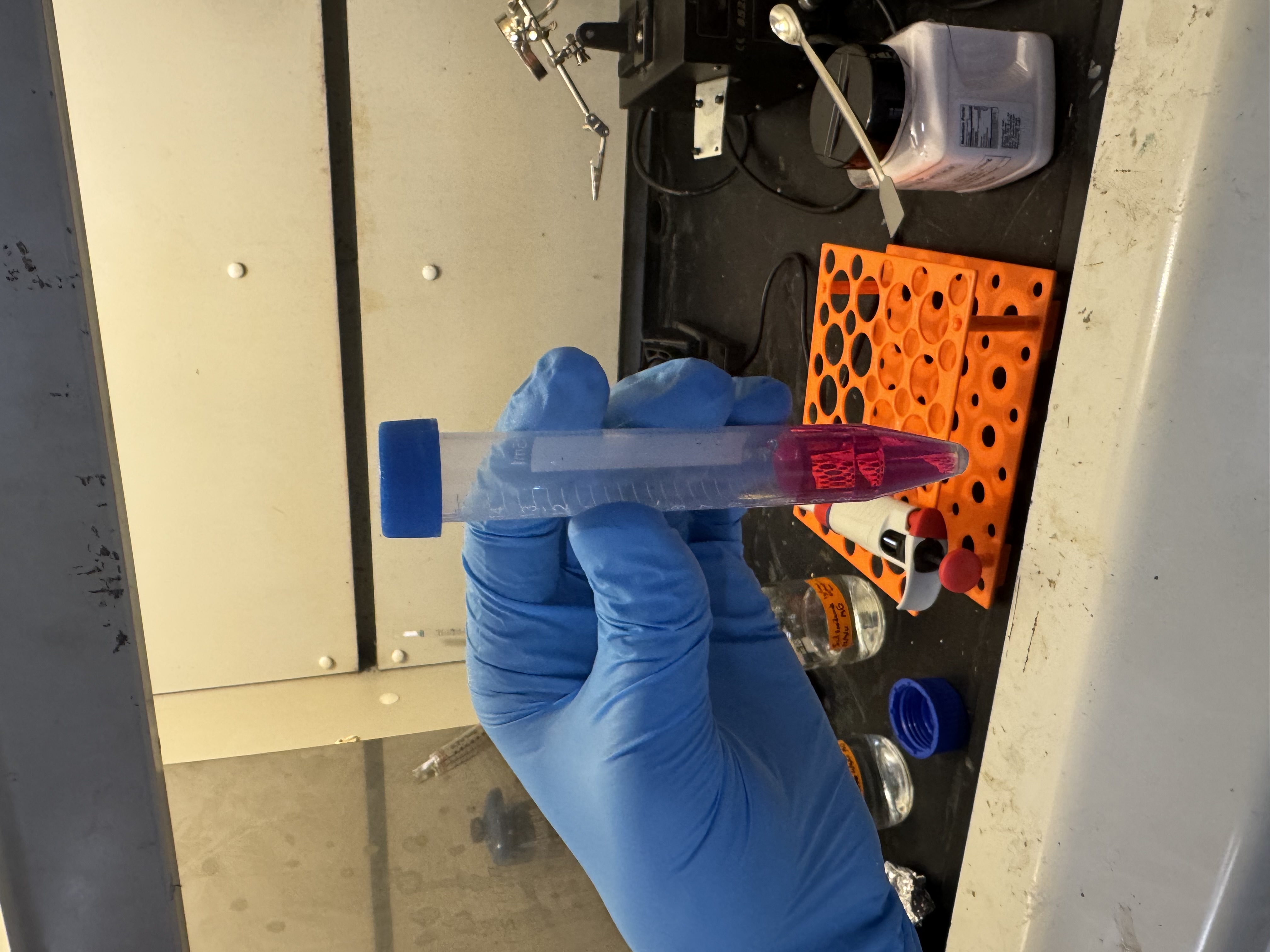 Pink azo dye produced for project