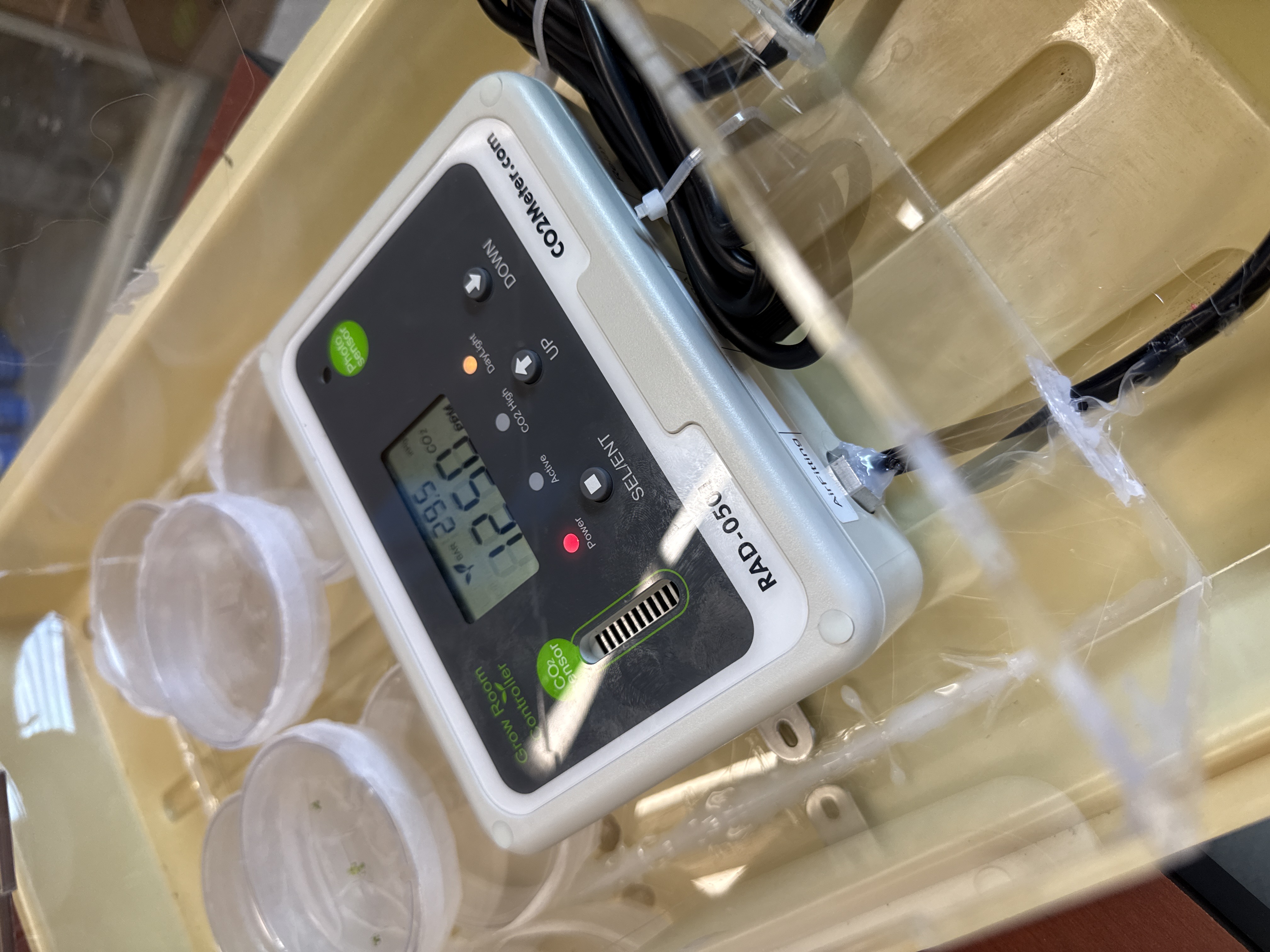 Pink azo dye produced for project