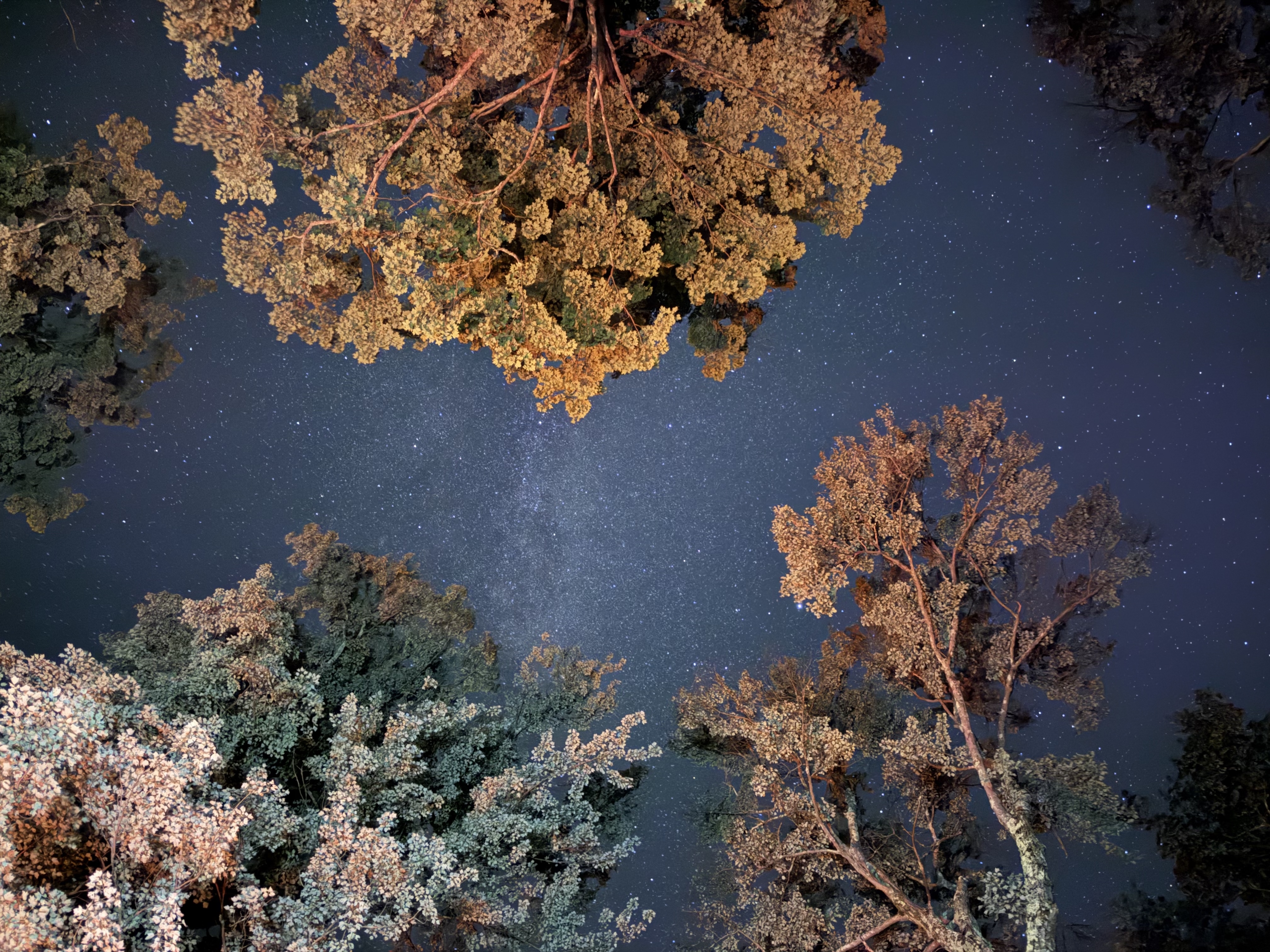 stars