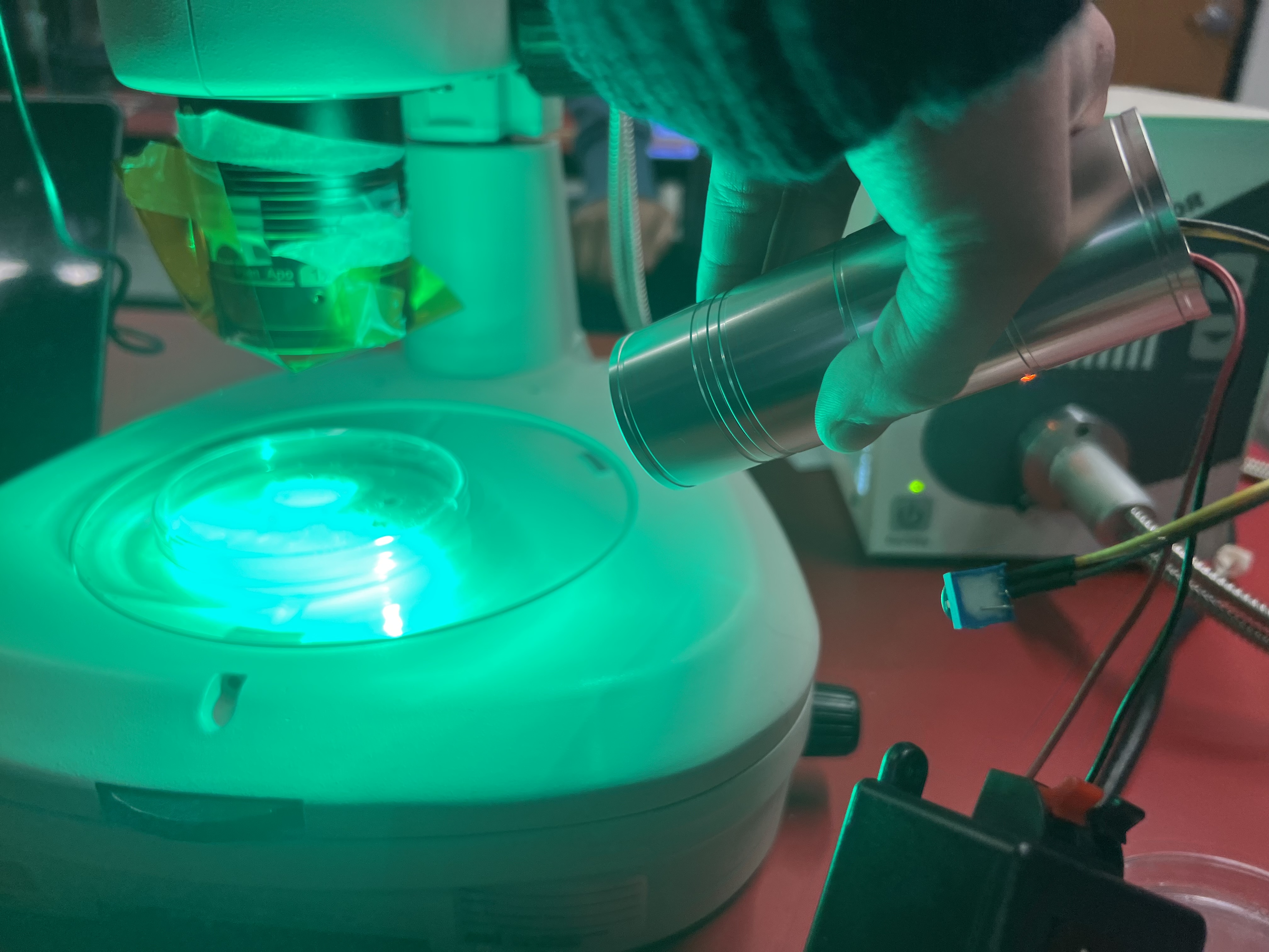 Fluorescence microscope setup