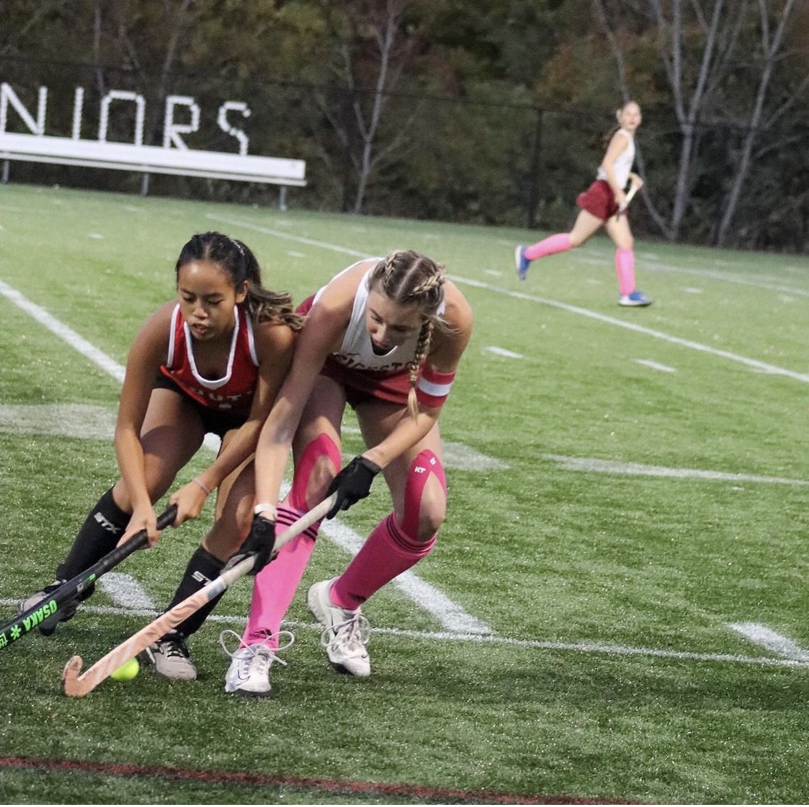 2 Field Hockey players fighting for ball