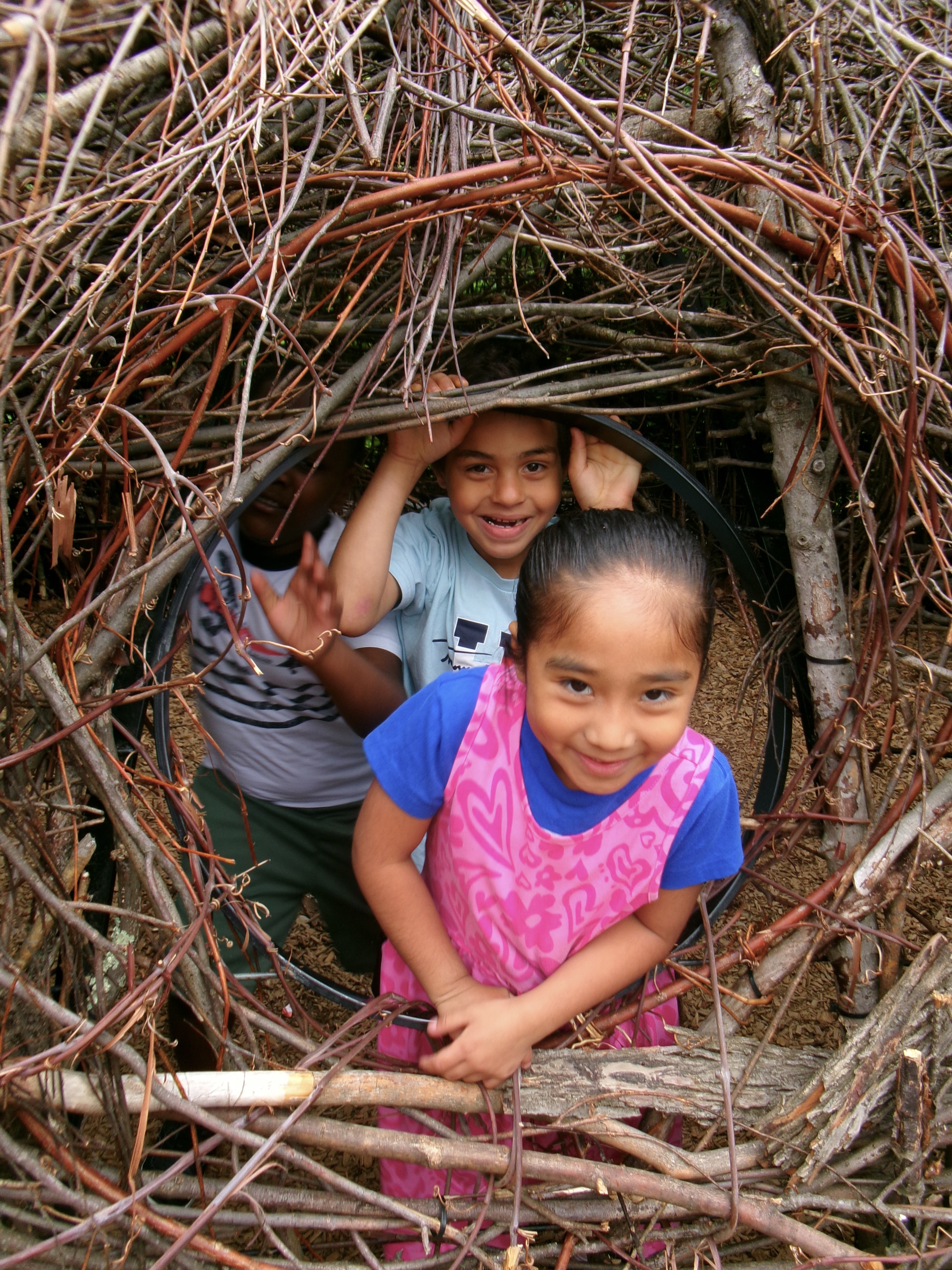 kids in front of tree hole