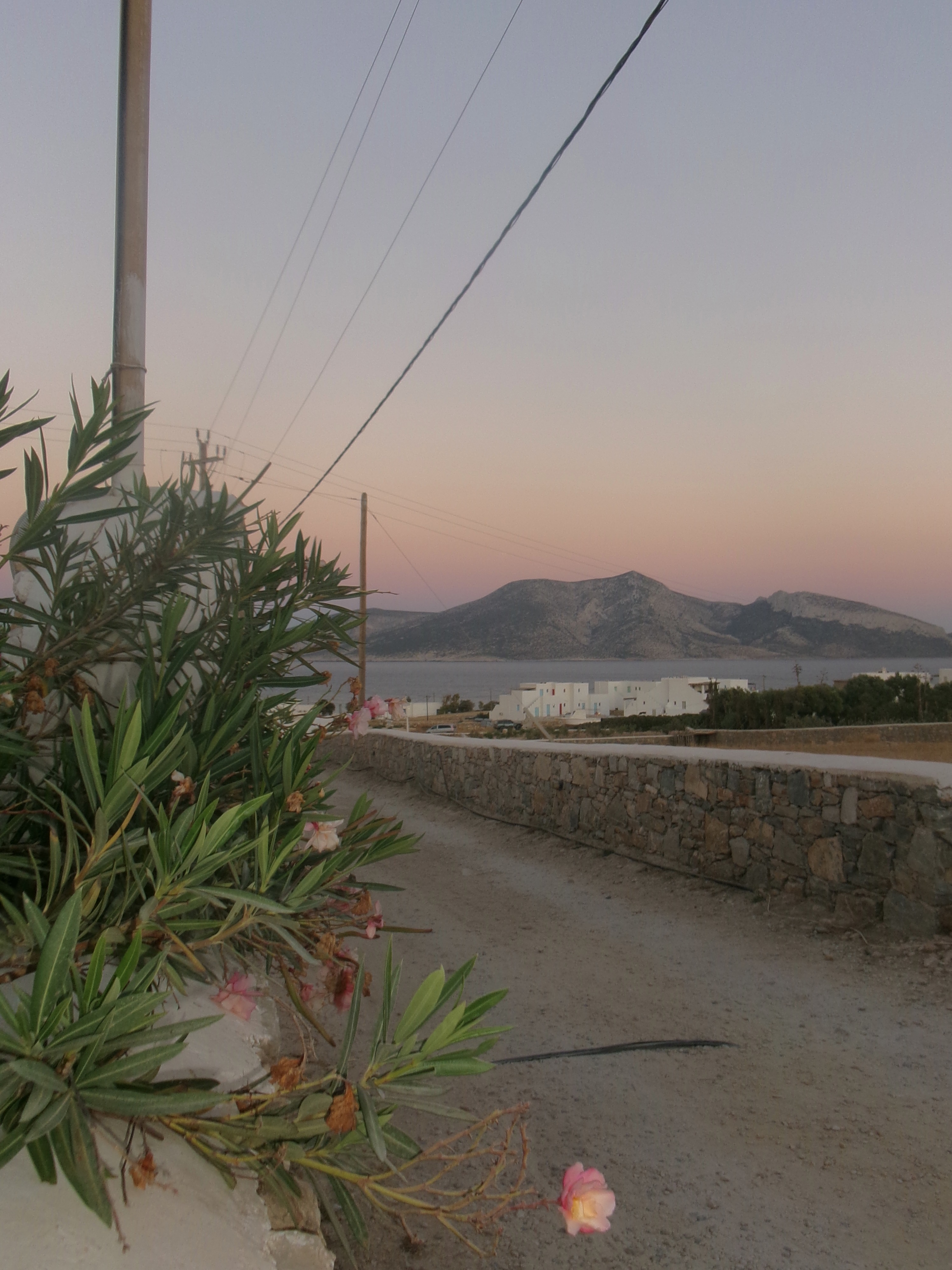 Pink sunset with mountains