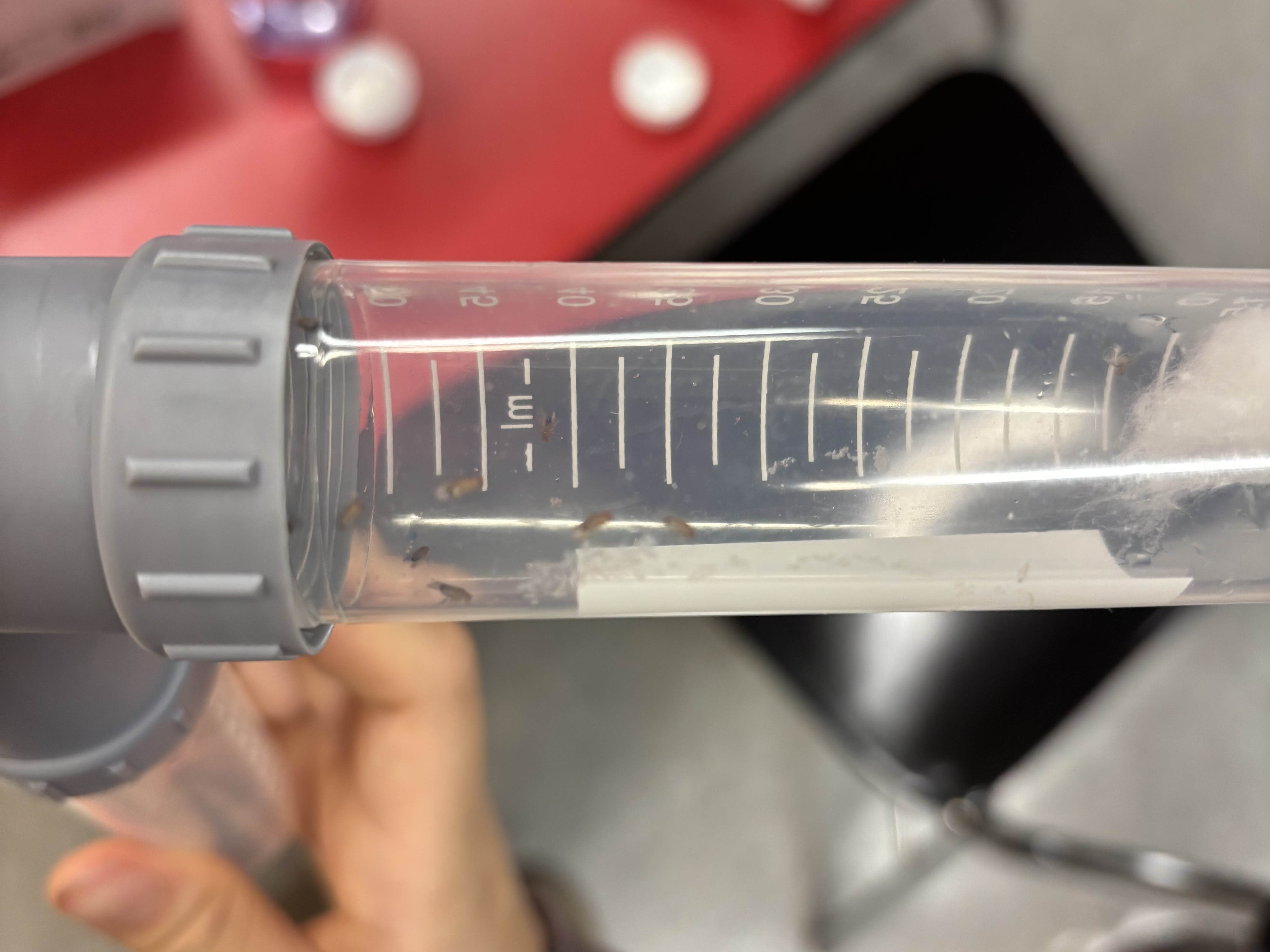 Girl in pink dress smiling in front of a beach