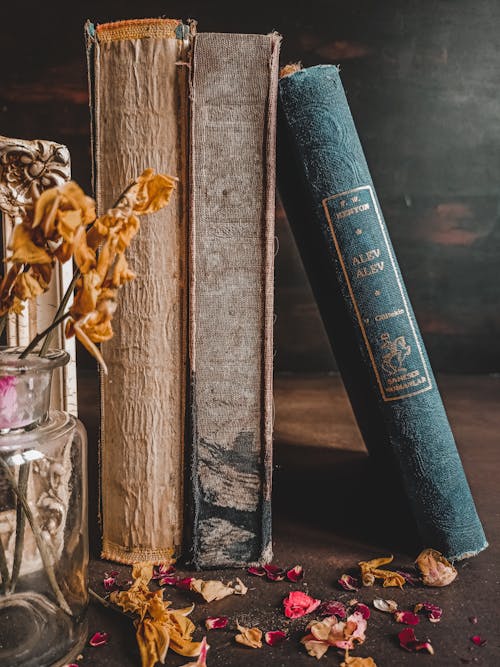 Aesthetic Picture of books
