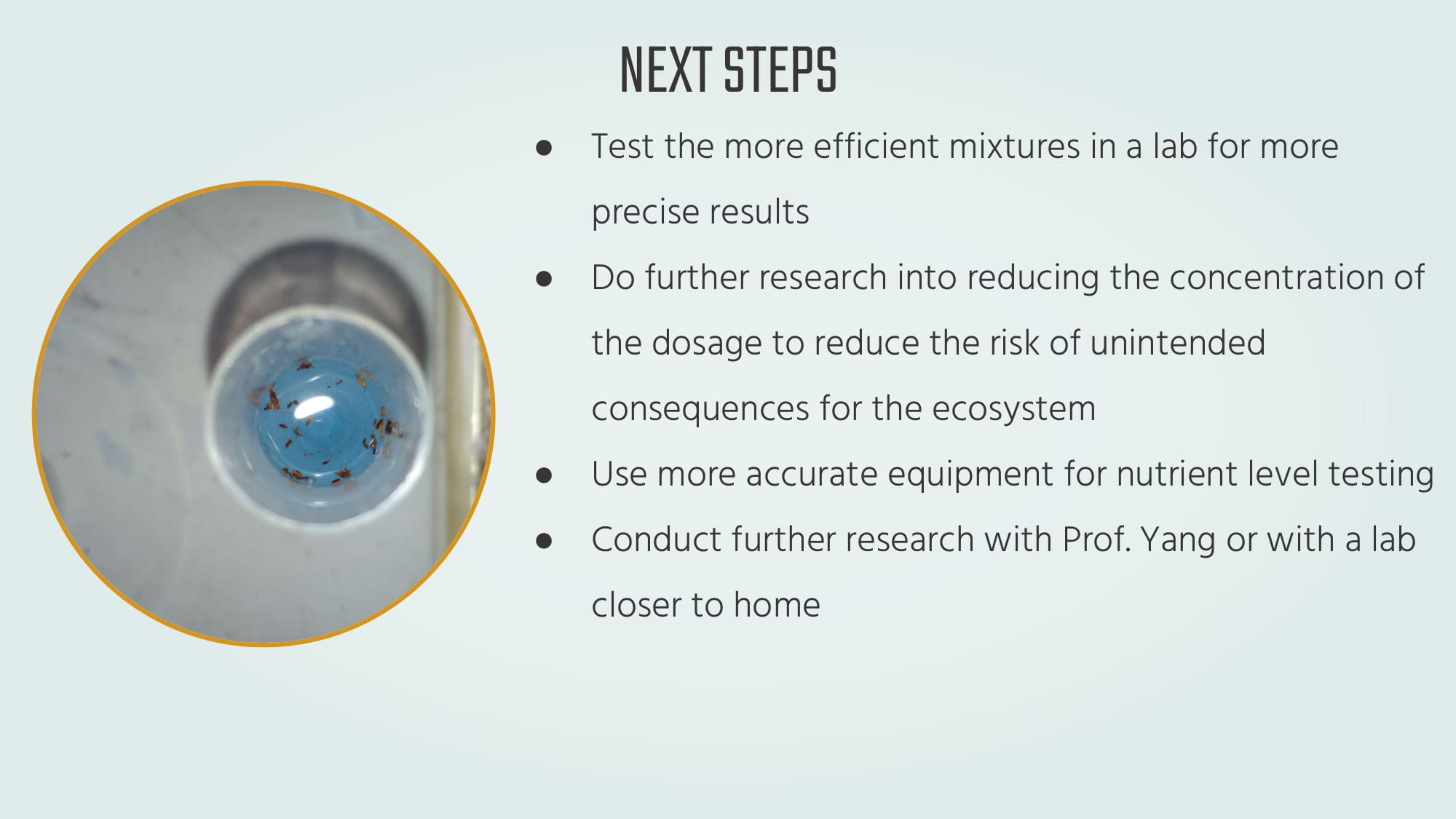 Project slides: slide 17