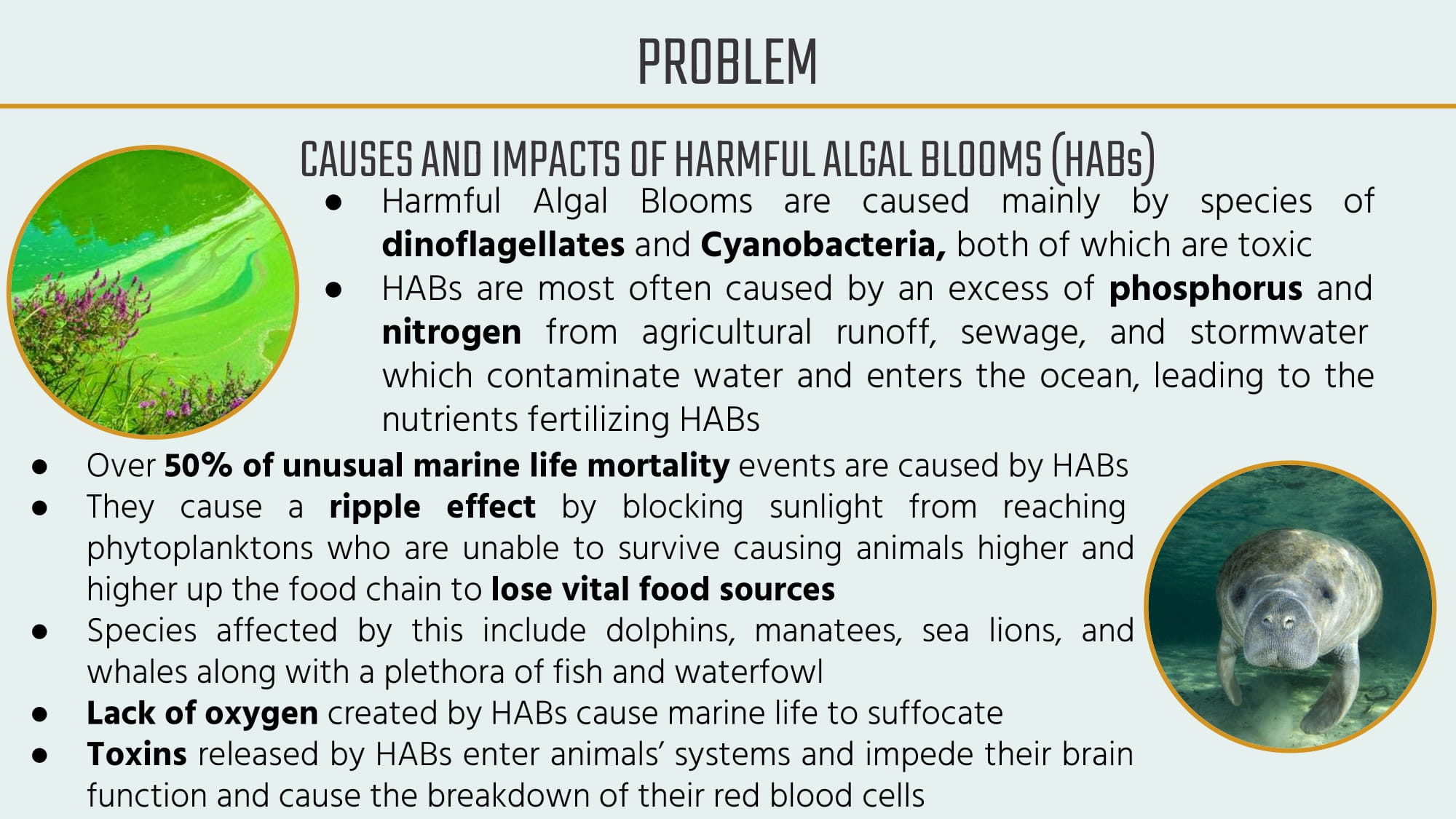 Project slides: slide 2