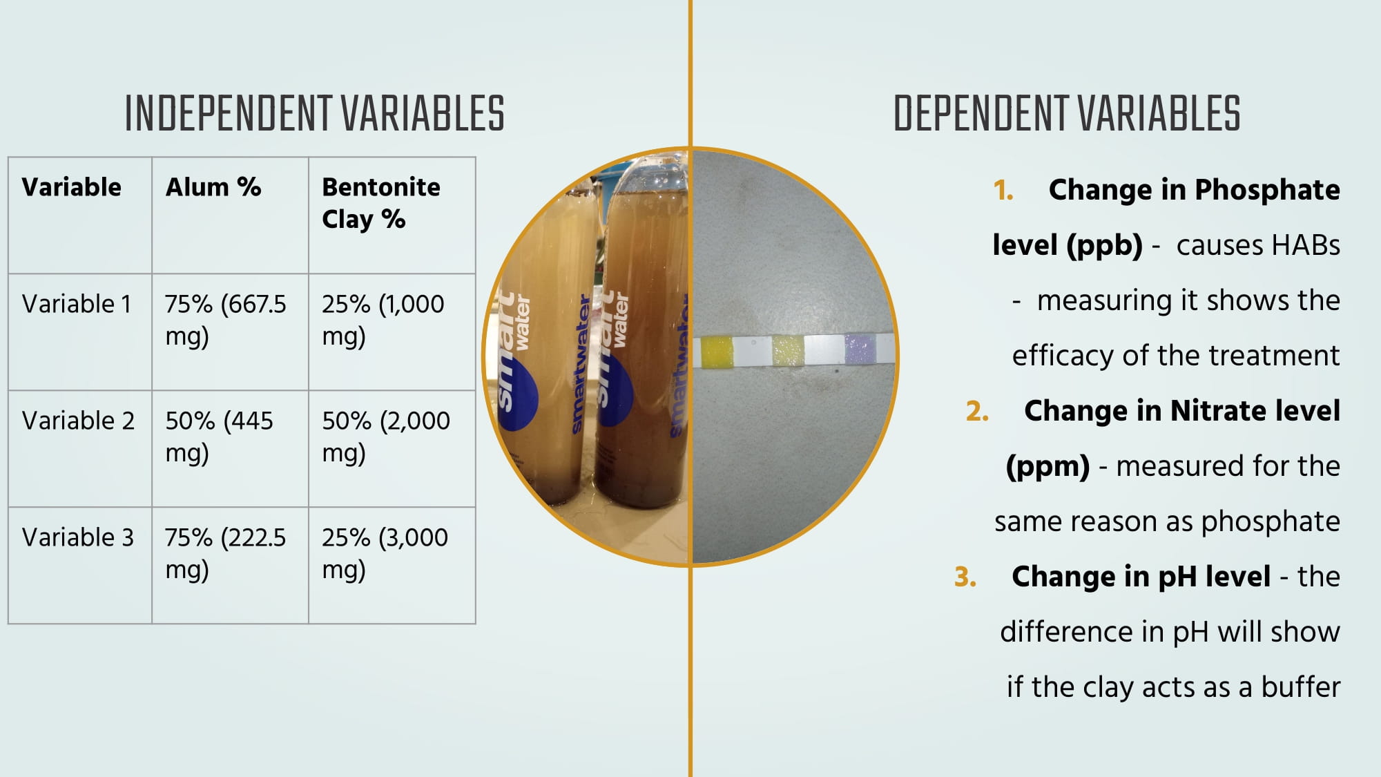 Project slides: slide 9