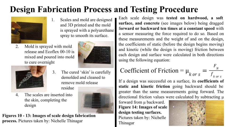 Project slides: slide 7