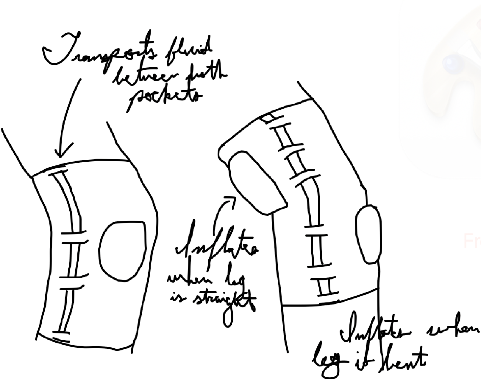 Design 1 — Pneumatic Knee Brace sketch