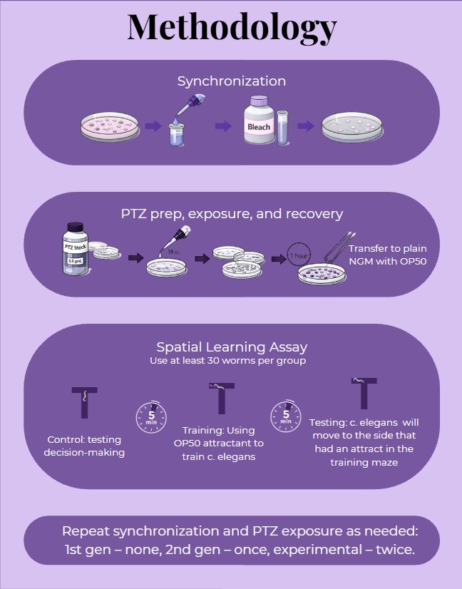 Image of methodology