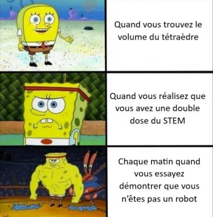 Meme Francais