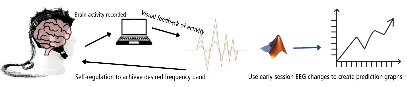 Graphical abstract