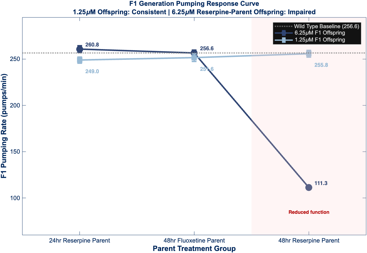 Figure 4 - F1 Generation Transgenerational Effects