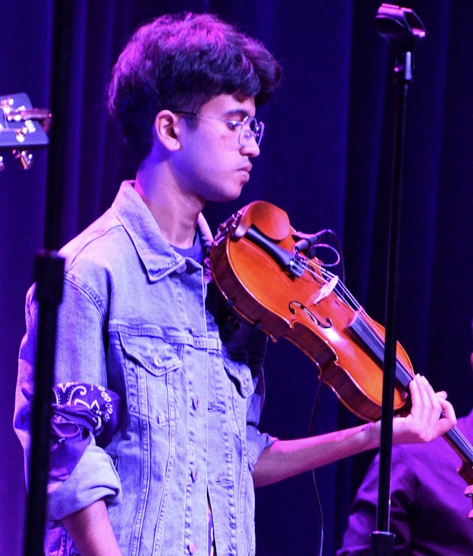 violin