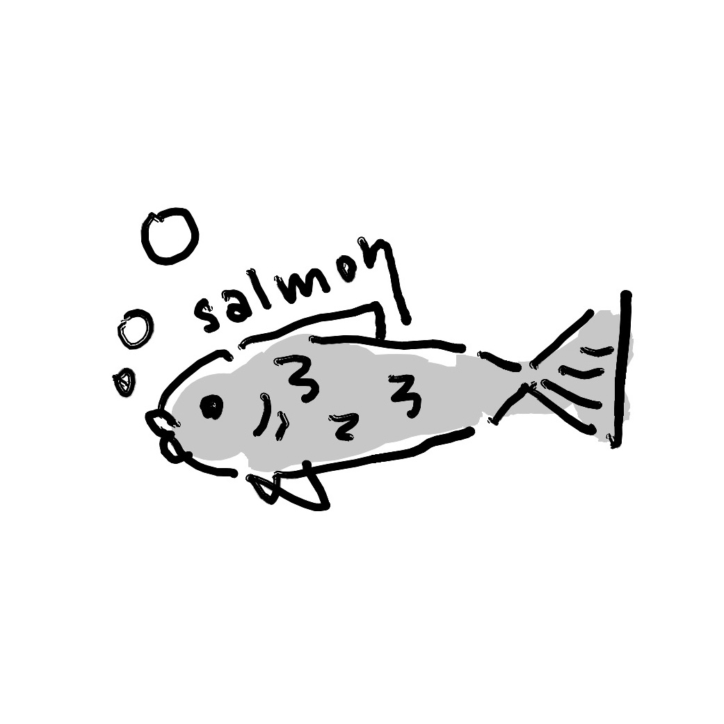 Salmon