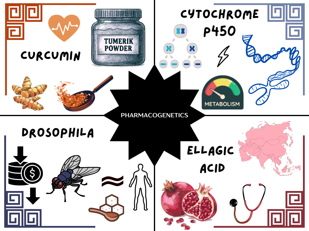 Saara's STEM background graphic