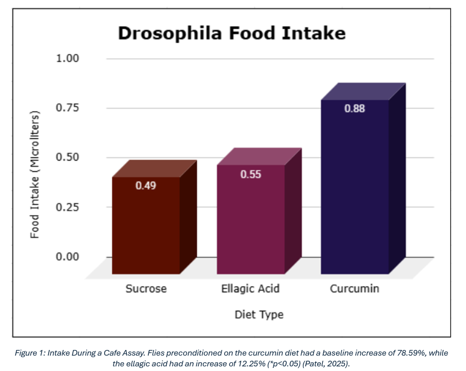Food intake graph
