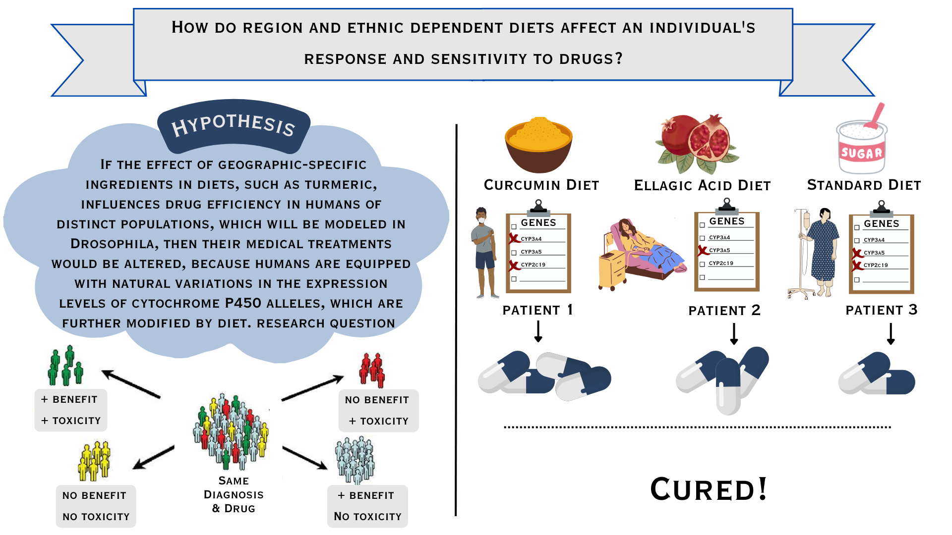 Saara's STEM graphical abstract
