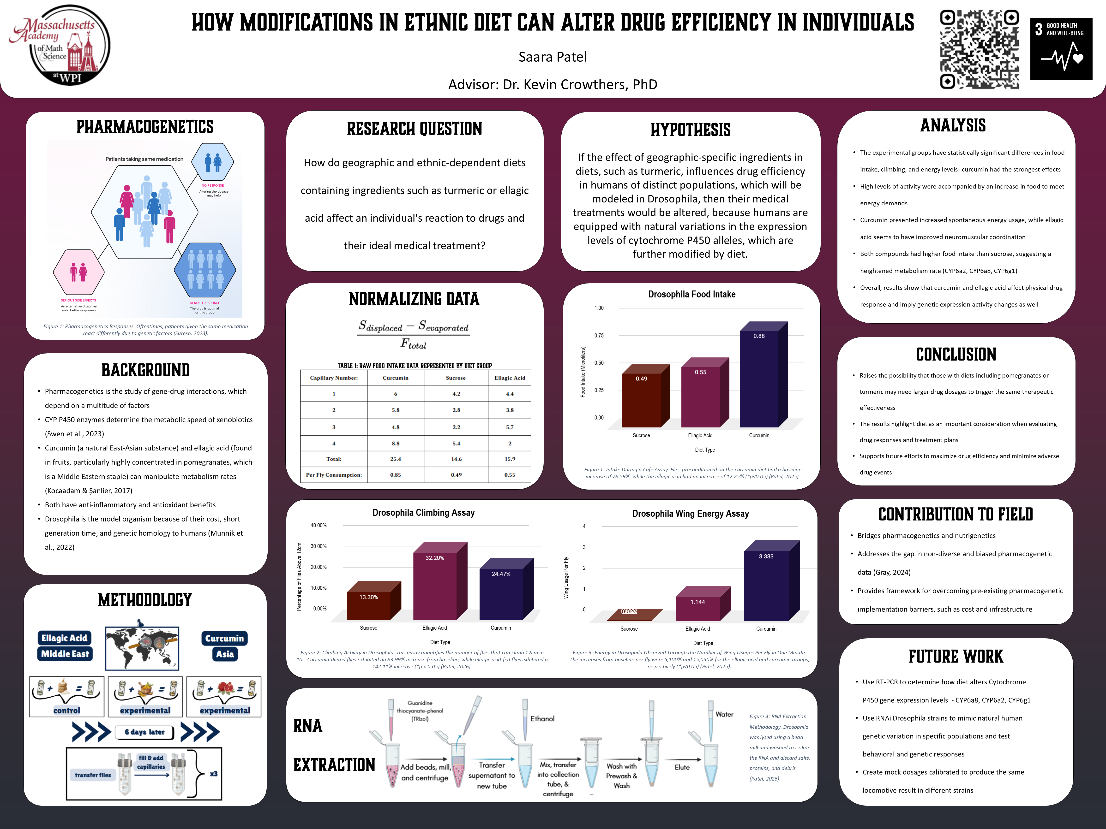 Saara's February fair poster