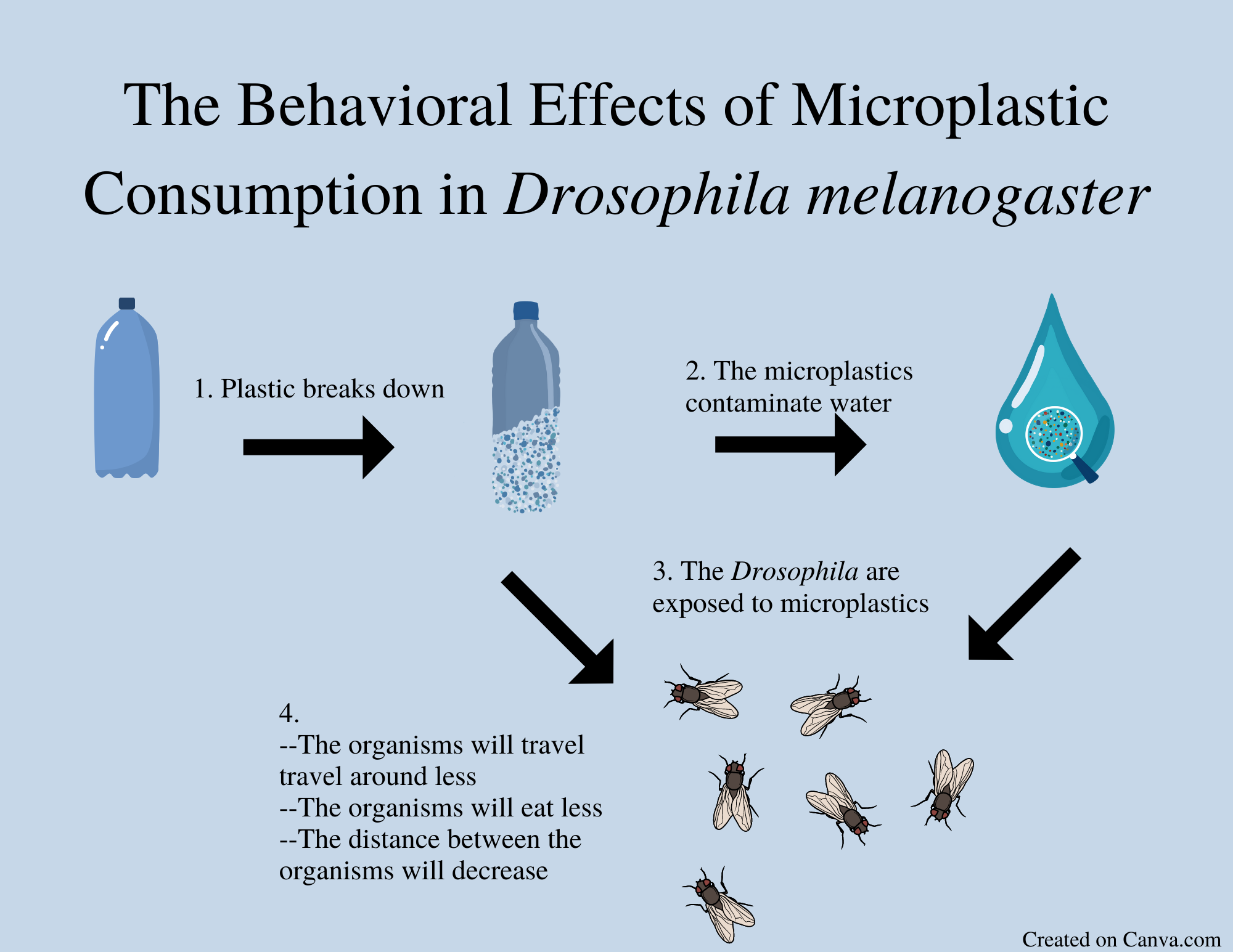 The graphical abstract I created for my project