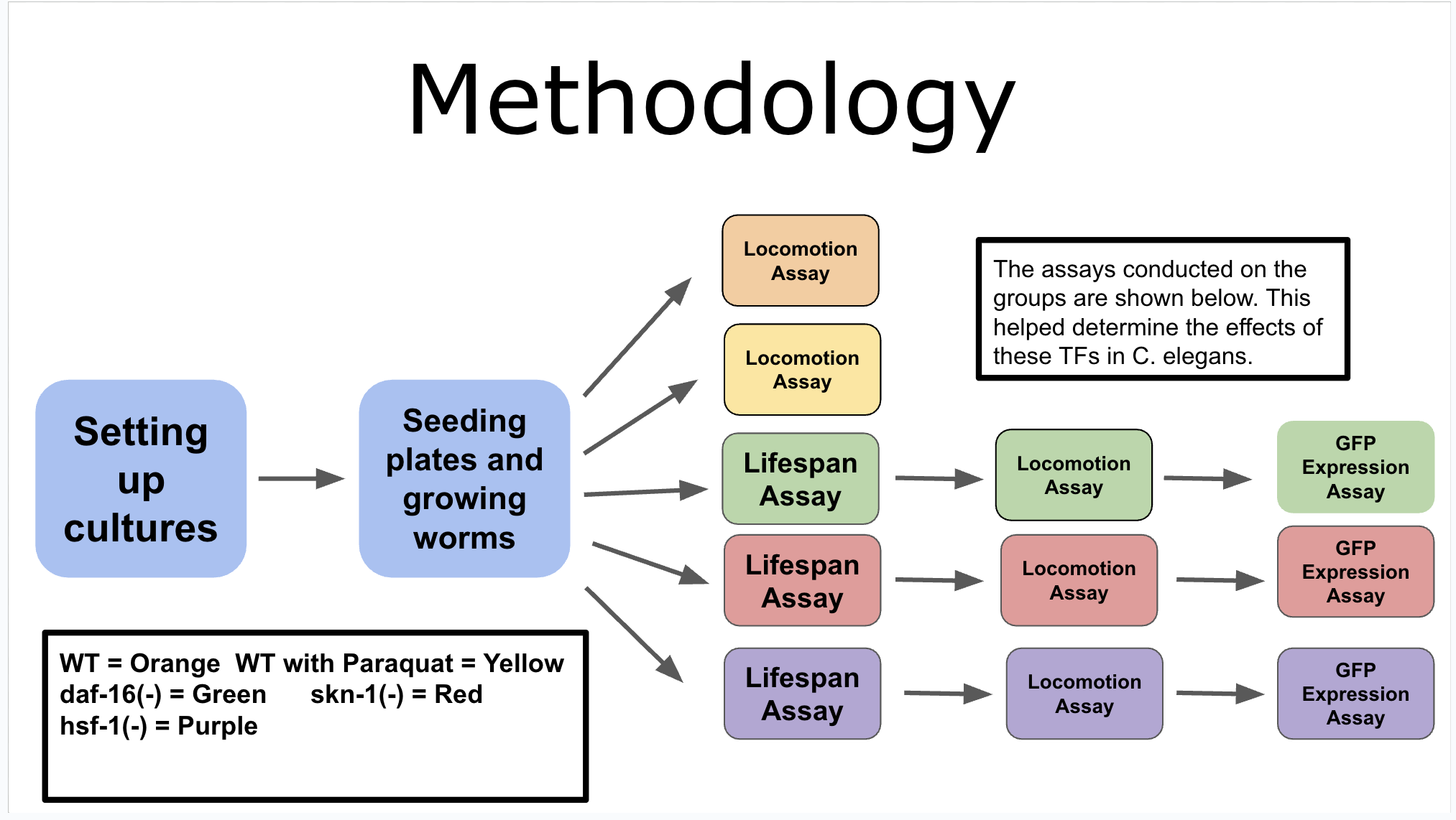 Methodology