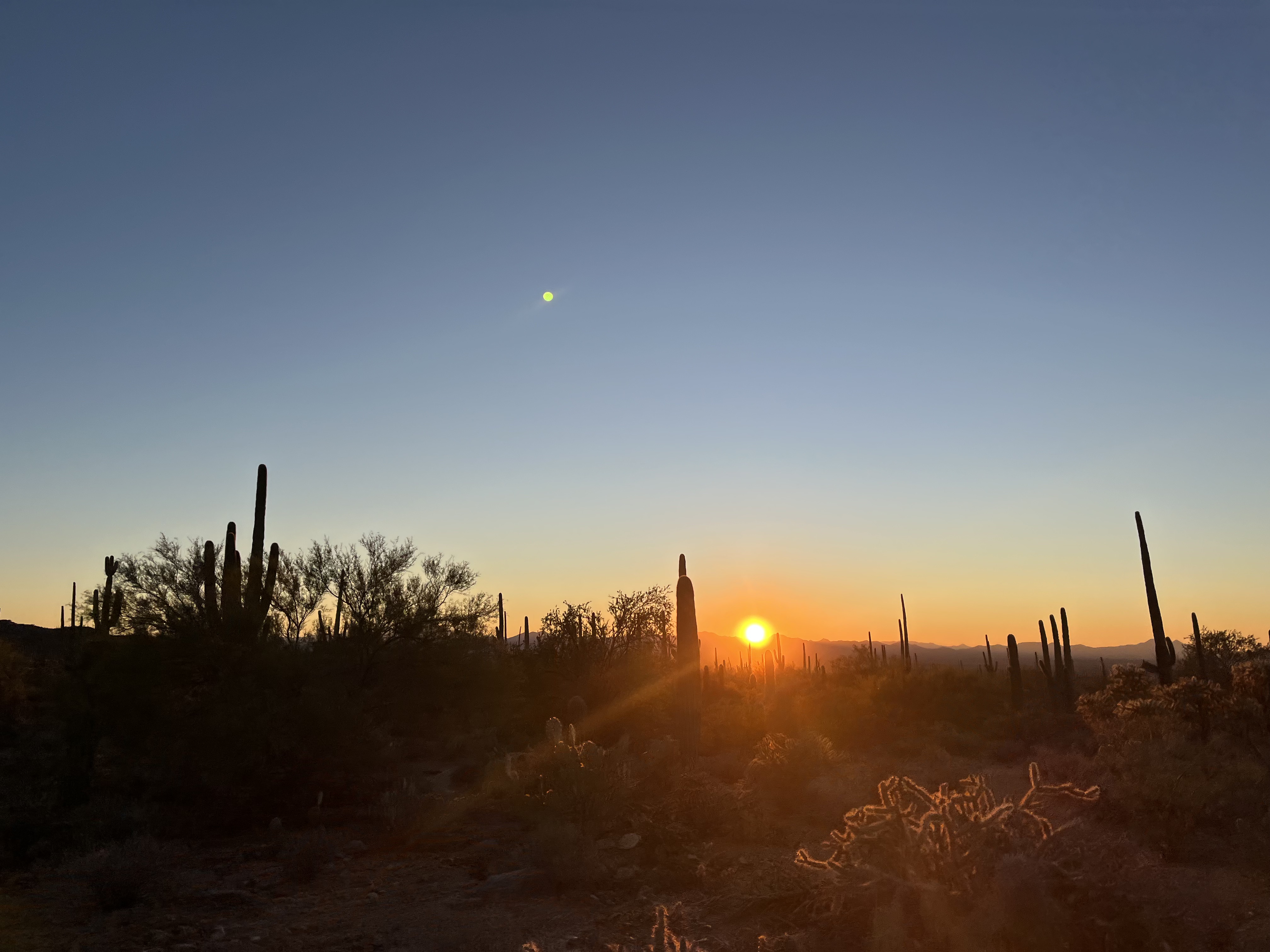 Sunset at Saguaro National Park!