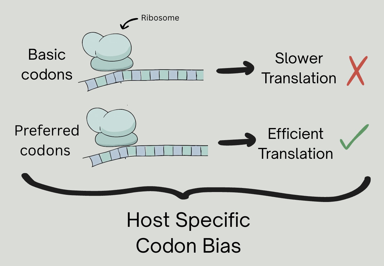 Graphical background for my project