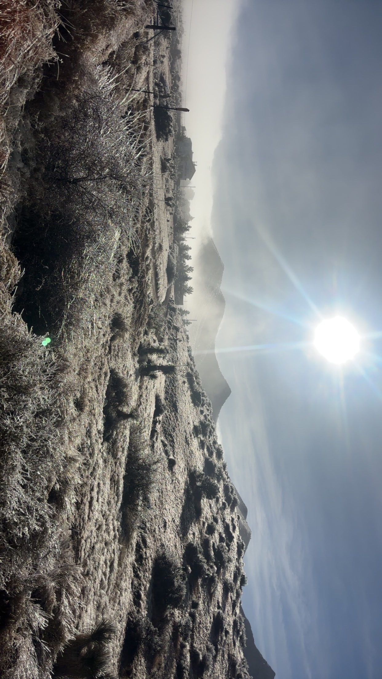 A pretty ice landscape from New Mexico!
