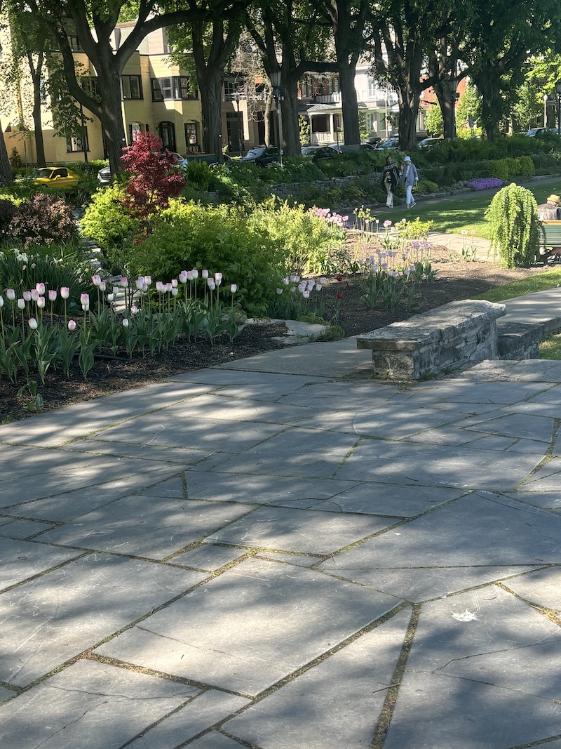 A park in Quebec!
