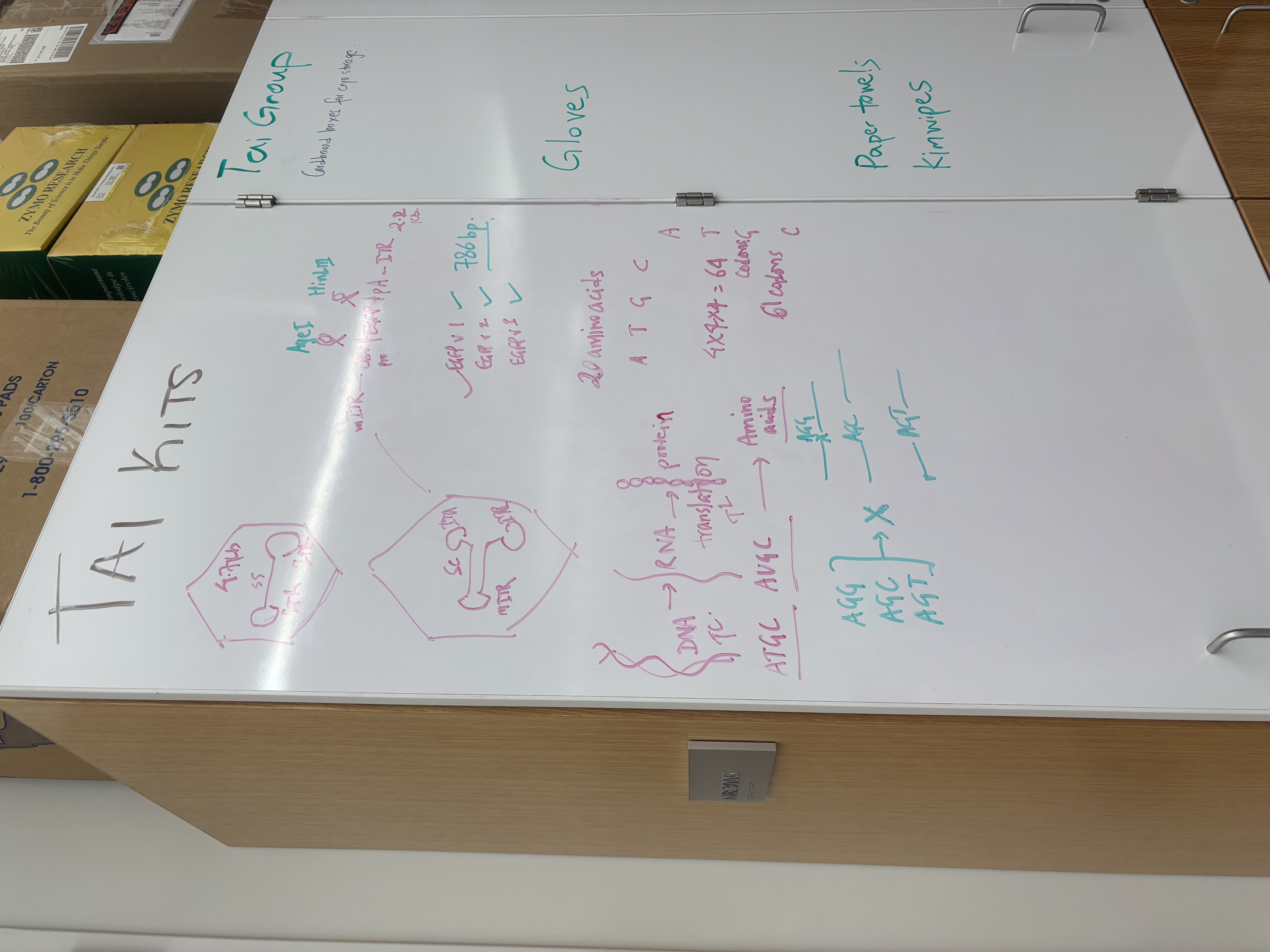 Stuff my mentor wrote on a whiteboard while teaching me some processes