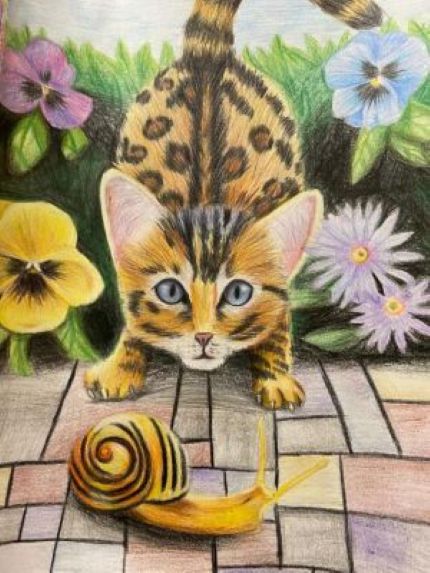 Cat & Snail