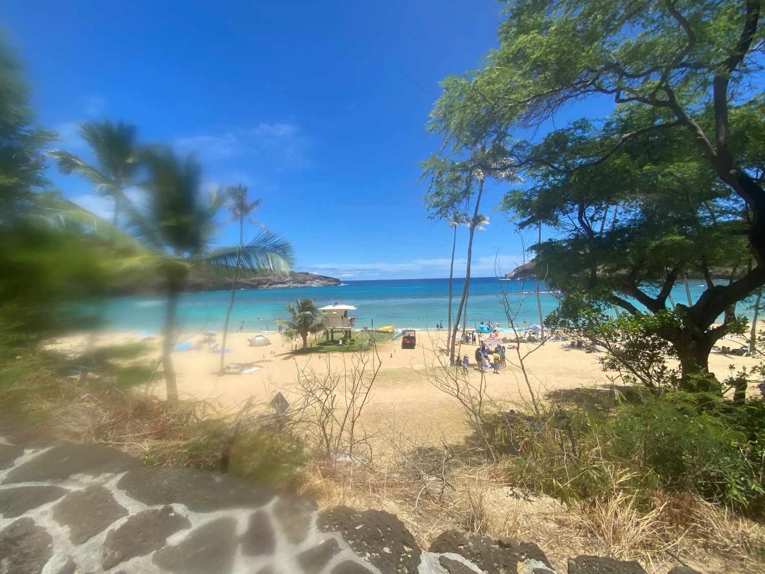 a blurry landscape of hawaii